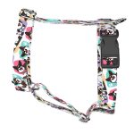 Cardigan Welsh Corgi - Kutyahám és Macskahám - april & june