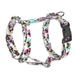 Cardigan Welsh Corgi - Kutyahám és Macskahám - april & june