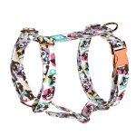 Cardigan Welsh Corgi - Kutyahám és Macskahám - april & june