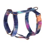 Galaxis - Kutyahám és Macskahám - Galaxy - april & june