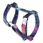 Galaxis - Kutyahám és Macskahám - Galaxy - april & june