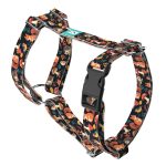 Erdei állatok - Kutyahám és Macskahám - Forest friends - april & june