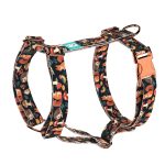 Erdei állatok - Kutyahám és Macskahám - Forest friends - april & june