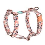 Őszi virágok - Kutyahám és Macskahám - Autumn Floral - april & june