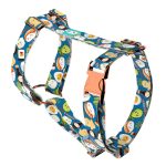 Sushi party - Kutyahám és Macskahám - april & june