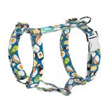 Sushi party - Kutyahám és Macskahám - april & june