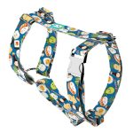 Sushi party - Kutyahám és Macskahám - april & june