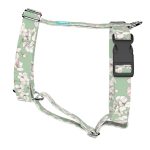 Tavaszi virágzás - Kutyahám és Macskahám - april & june