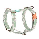 Tavaszi virágzás - Kutyahám és Macskahám - april & june