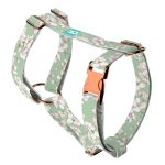 Tavaszi virágzás - Kutyahám és Macskahám - april & june