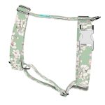 Tavaszi virágzás - Kutyahám és Macskahám - april & june