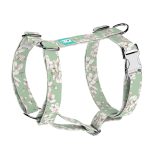 Tavaszi virágzás - Kutyahám és Macskahám - april & june