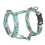 Koi tó - Kutyahám és Macskahám - april & june