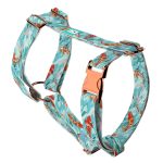 Koi tó - Kutyahám és Macskahám - april & june