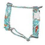 Koi tó - Kutyahám és Macskahám - april & june