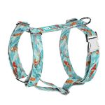 Koi tó - Kutyahám és Macskahám - april & june