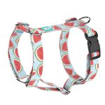 Dinnye - Kutyahám és Macskahám - Watermelon - april & june