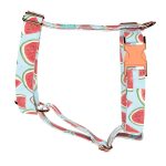 Dinnye - Kutyahám és Macskahám - Watermelon - april & june