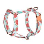 Dinnye - Kutyahám és Macskahám - Watermelon - april & june