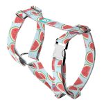 Dinnye - Kutyahám és Macskahám - Watermelon - april & june