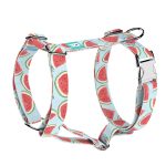 Dinnye - Kutyahám és Macskahám - Watermelon - april & june