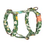 Virágzó liget - Kutyahám és Macskahám - Springtime grove - april & june