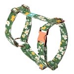 Virágzó liget - Kutyahám és Macskahám - Springtime grove - april & june