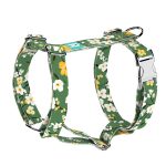 Virágzó liget - Kutyahám és Macskahám - Springtime grove - april & june