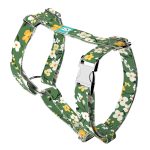 Virágzó liget - Kutyahám és Macskahám - Springtime grove - april & june