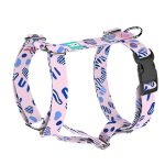 Rózsaszín és kék kavicsok - Kutyahám és Macskahám - Pink and blue pebbles - april & june