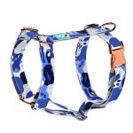 Kék - Kutyahám és Macskahám - Blue - april & june