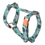 Puli, kék - Kutyahám és Macskahám - blue - april & june