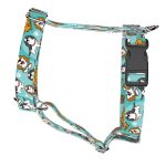 Spániel - Cavalier, kék - Kutyahám és Macskahám - blue - april & june