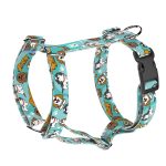 Spániel - Cavalier, kék - Kutyahám és Macskahám - blue - april & june