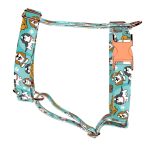 Spániel - Cavalier, kék - Kutyahám és Macskahám - blue - april & june