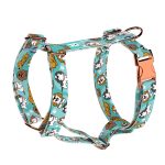 Spániel - Cavalier, kék - Kutyahám és Macskahám - blue - april & june