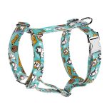 Spániel - Cavalier, kék - Kutyahám és Macskahám - blue - april & june