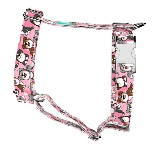 Ausztrál juhász, rózsaszín - Kutyahám és Macskahám - pink - april & june