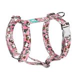 Ausztrál juhász, rózsaszín - Kutyahám és Macskahám - pink - april & june