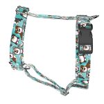 Ausztrál juhász, kék - Kutyahám és Macskahám - blue - april & june