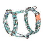 Ausztrál juhász, kék - Kutyahám és Macskahám - blue - april & june