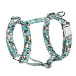 Ausztrál juhász, kék - Kutyahám és Macskahám - blue - april & june