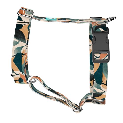 Naplemente - Kutyahám és Macskahám - april & june