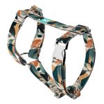 Naplemente - Kutyahám és Macskahám - april & june