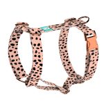 Fekete foltok rózsaszín alapon - Kutyahám és Macskahám - april & june