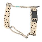 Fekete foltok bézs alapon - Kutyahám és Macskahám - april & june