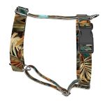 Indián nyár - Kutyahám és Macskahám - april & june