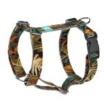 Indián nyár - Kutyahám és Macskahám - april & june