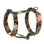 Indián nyár - Kutyahám és Macskahám - april & june