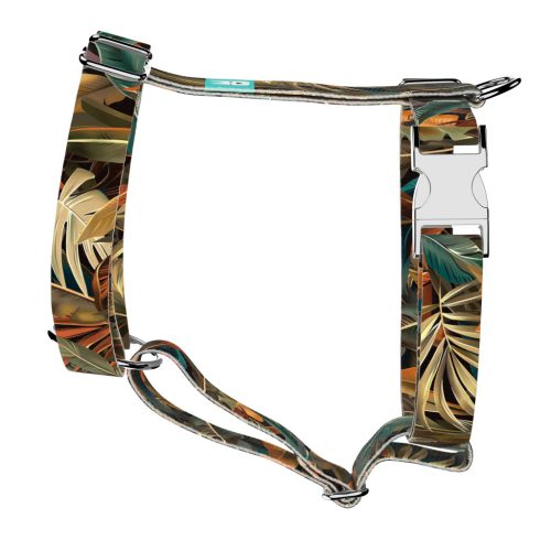 Indián nyár - Kutyahám és Macskahám - april & june